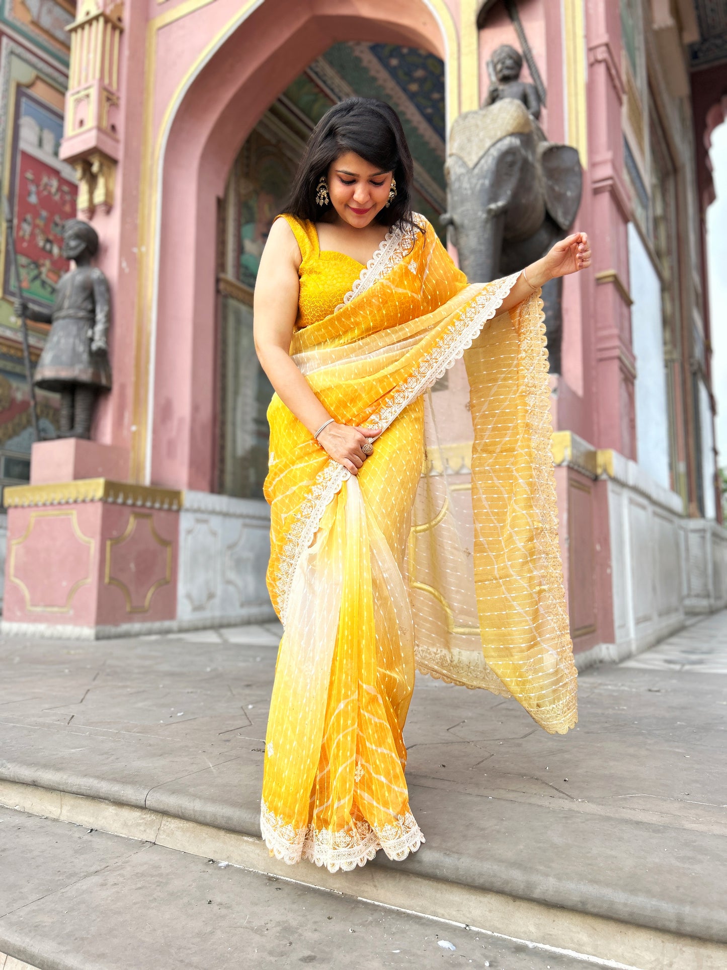 Embellished Sequinned Net Saree